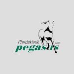 Pferdeklinik Pegasus